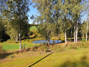 A natural landscape with a pond, trees, and grassy areas. - 4 Star Holiday Home in Arjang (Årjäng)