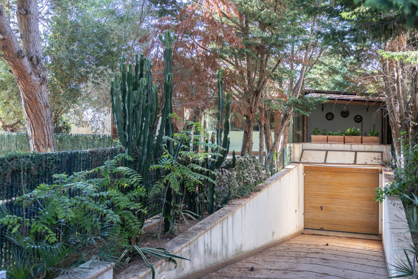 Un jardin avec différentes espèces de plantes, une terrasse en bois et un bâtiment doté d’une porte en bois.