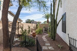 A courtyard with a white wall, a black metal fence, and various plants including a palm tree and cacti. - 3 Bedroom/ Private Fenced Backyard /Desert Style (Gilbert)