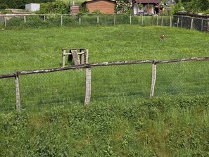 Taman