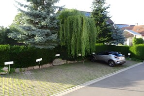 Une allée menant à une maison, avec une voiture garée, un saule pleureur et une boîte aux lettres.