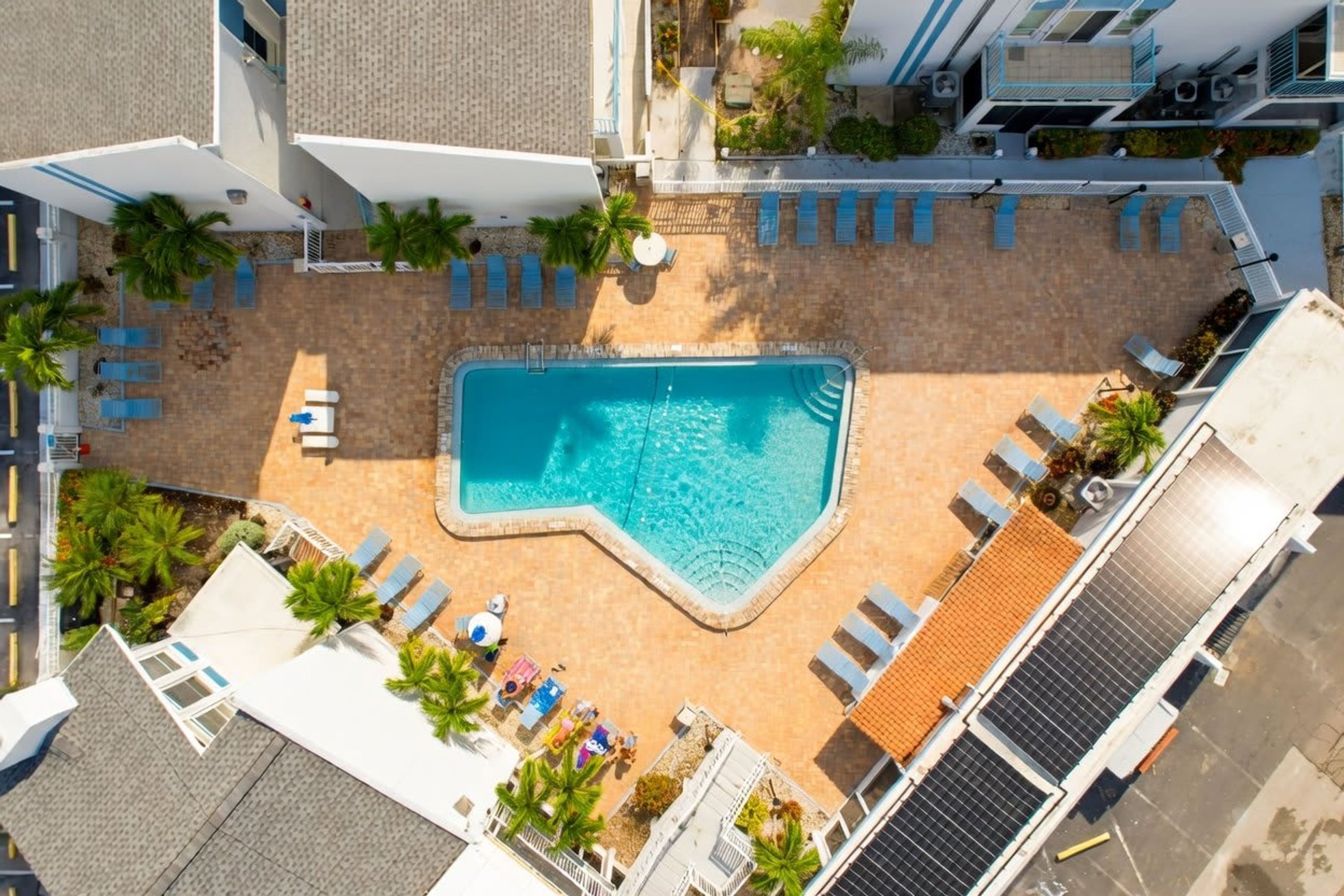 An aerial view of a hotel with a swimming pool, lounge chairs, and palm trees.