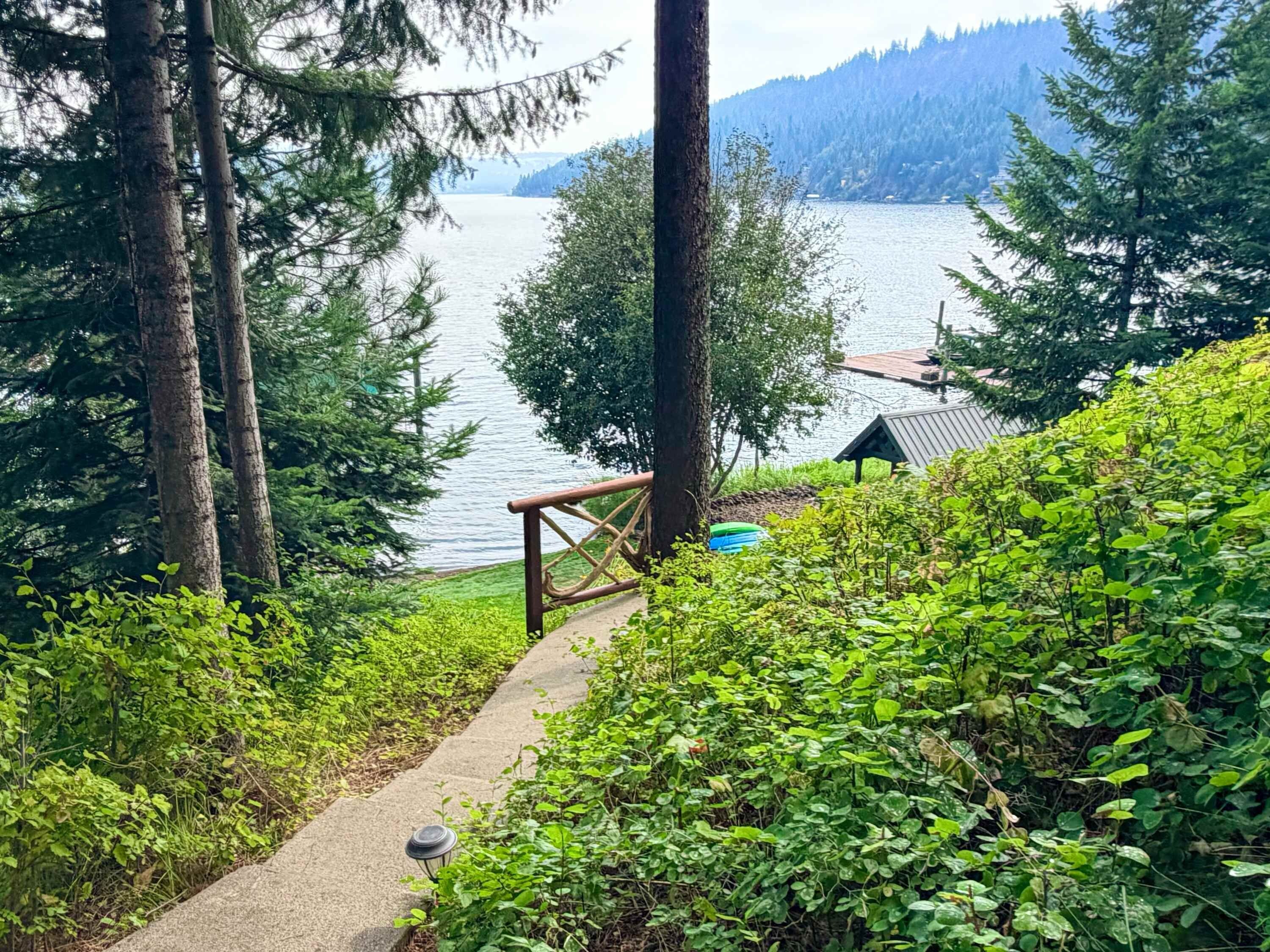 A concrete pathway leading to a dock over a lake, surrounded by dense greenery and trees.
