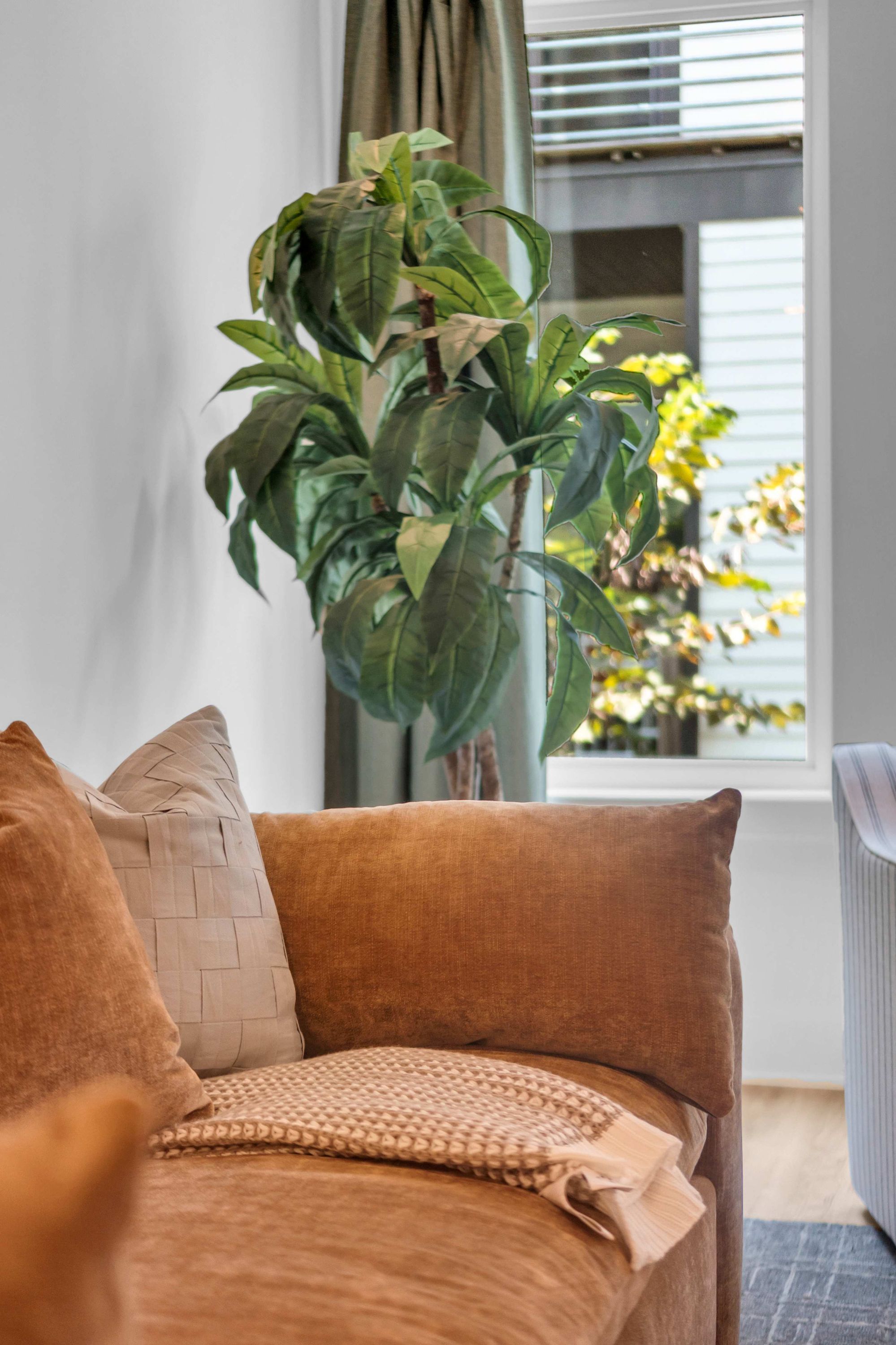 A living room with a sofa, a potted plant, and a window with blinds.