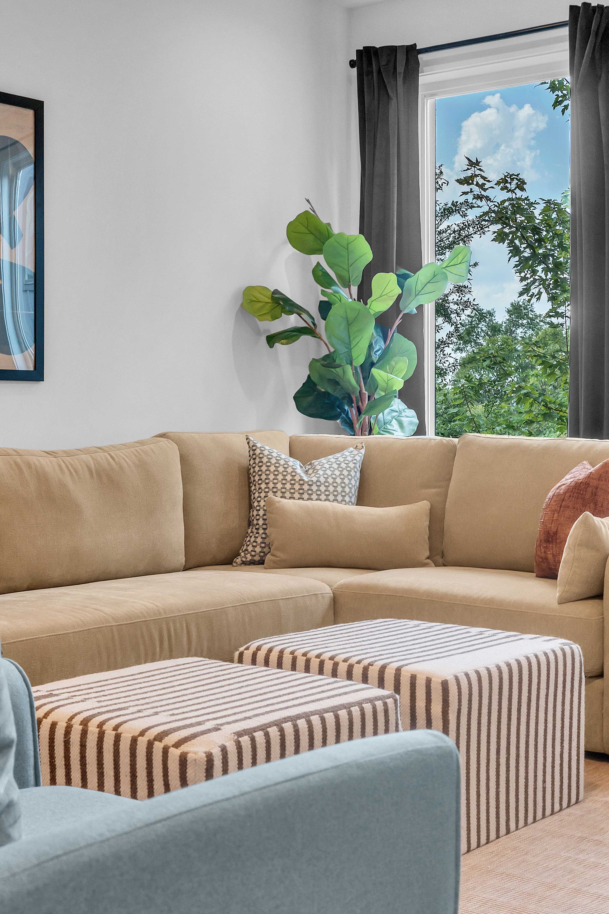 Un salon avec un canapé d’angle beige, des poufs à rayures, une grande plante verte et une fenêtre avec des rideaux.