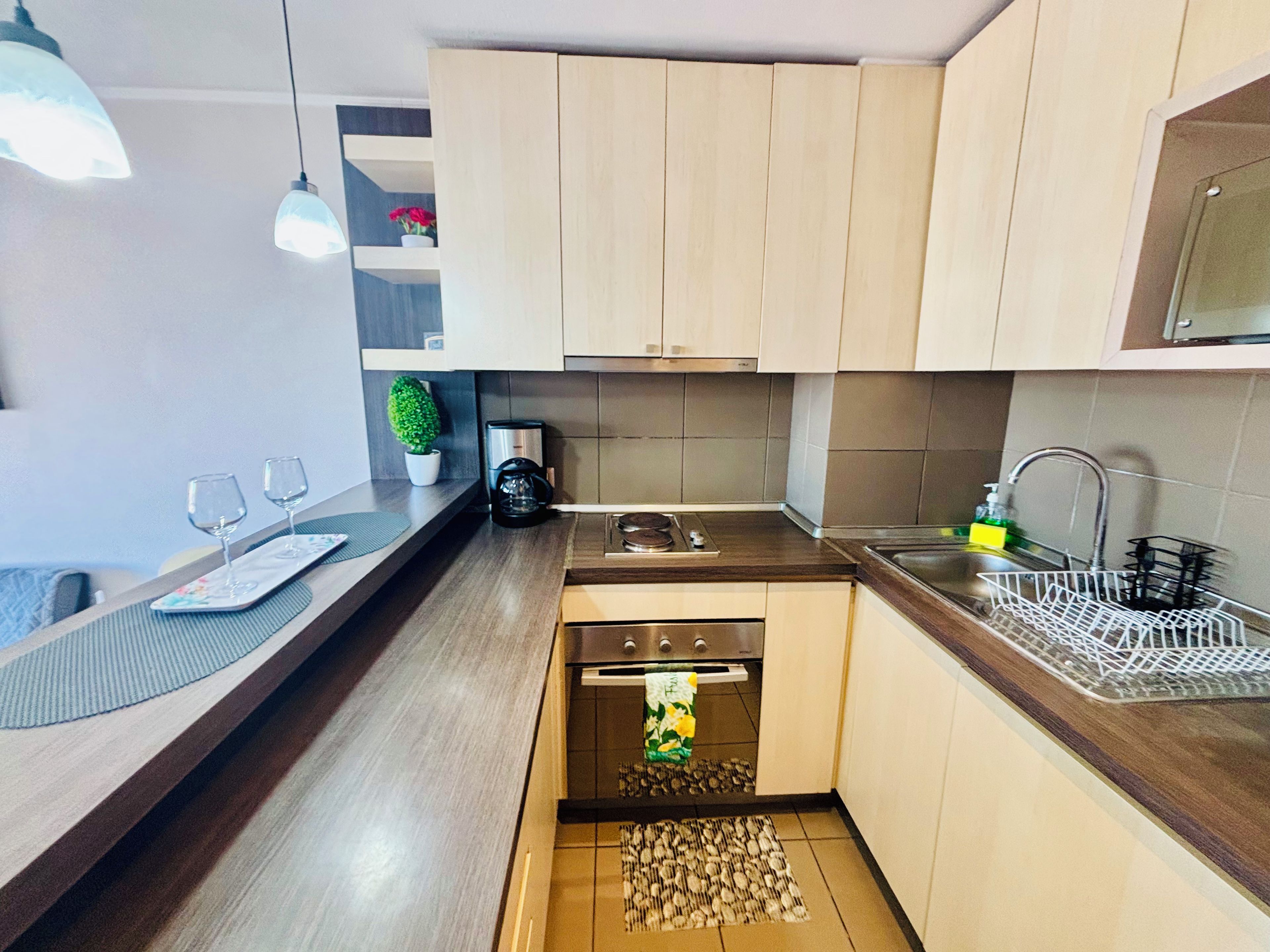 Una cocina moderna con armarios de madera, horno empotrado, un lavamanos con escurreplatos y una pequeña planta en maceta.