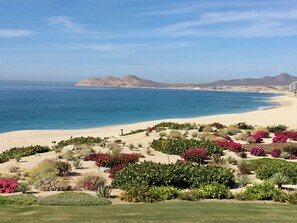 A coastal landscape with a sandy beach, a variety of desert plants, and a clear view of the ocean and distant mountains. - Oceanfront 3BR Villa at Casa del Mar, Resort Amenities & Pickleball (San José del Cabo)