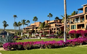 A hotel with multiple buildings, palm trees, and a well-maintained garden with pink flowers. - Oceanfront 3BR Villa at Casa del Mar, Resort Amenities & Pickleball (San José del Cabo)