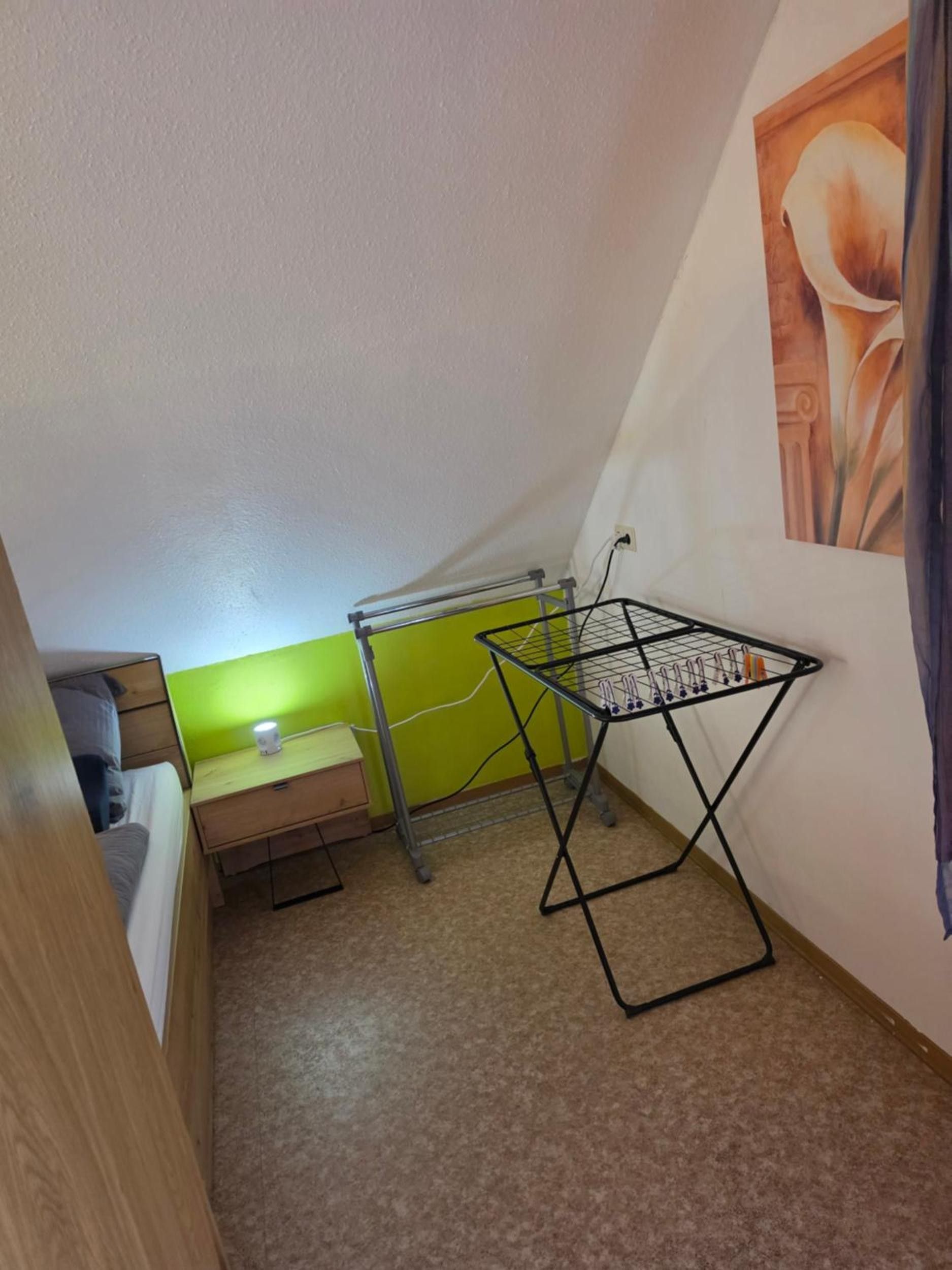A small room with a bed, a desk, a wall-mounted drying rack, and a painting.