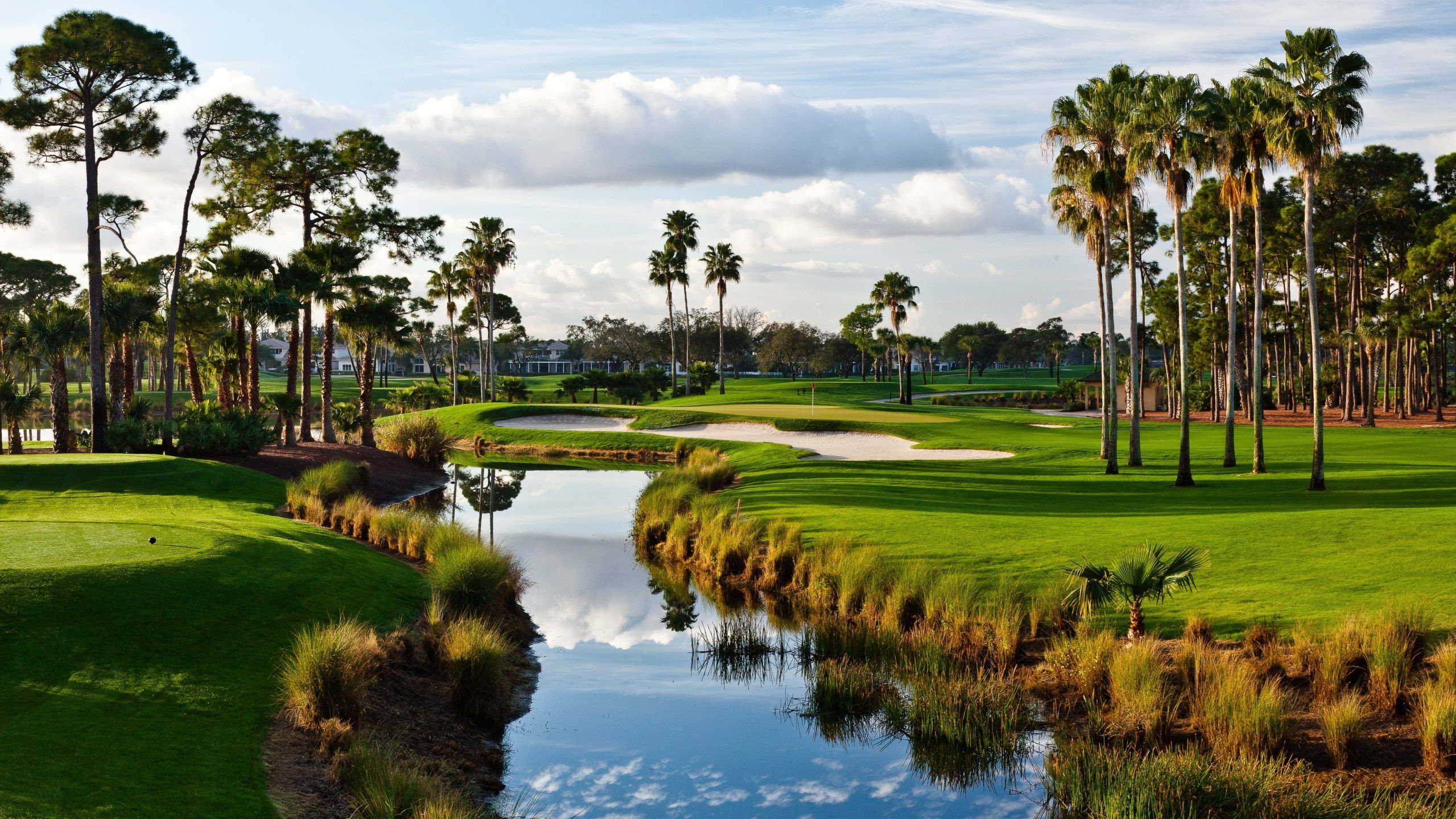 A golf course with a pond, palm trees, and a clubhouse in the background.