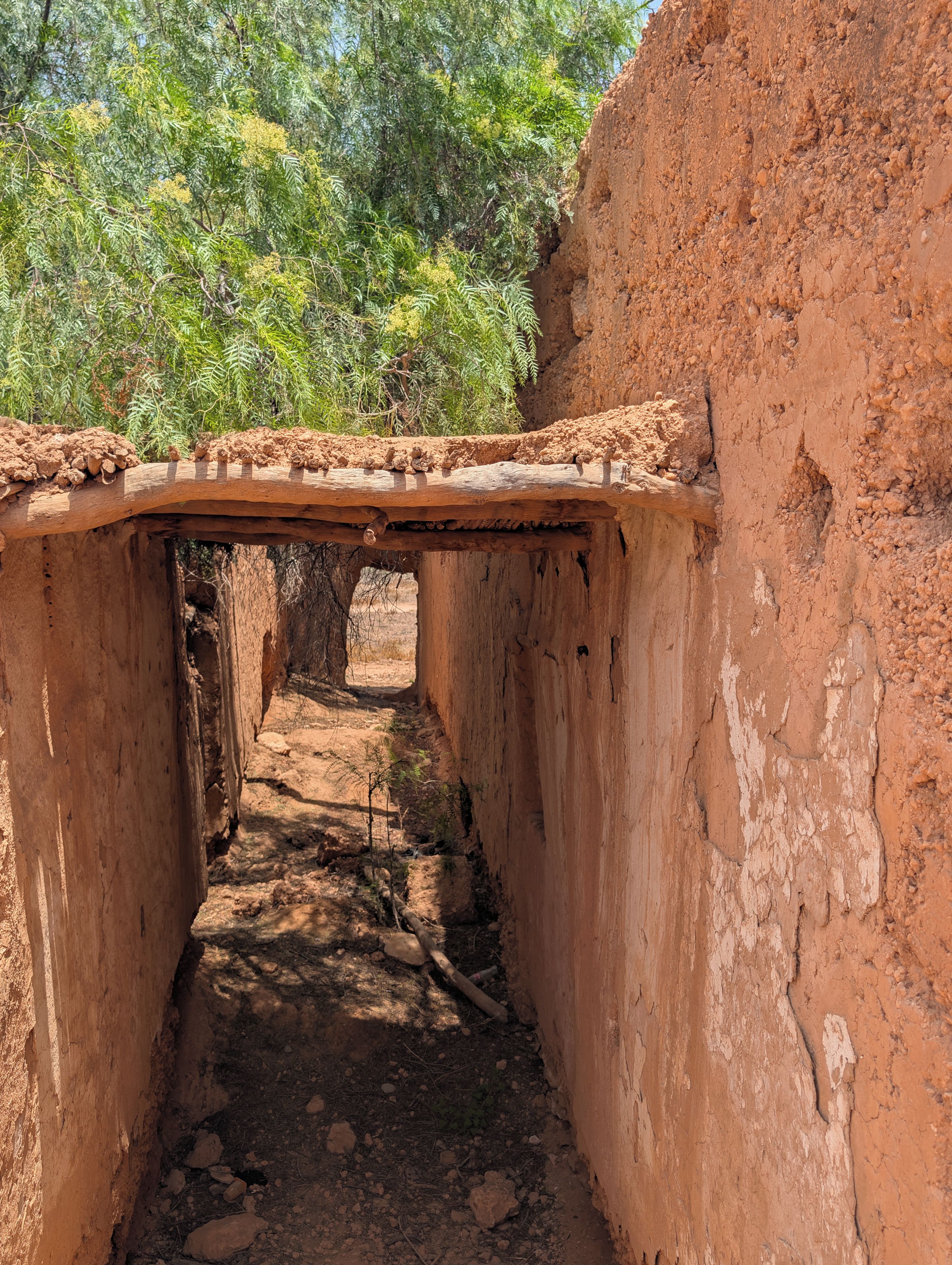 A narrow passageway with a wooden structure overhead, surrounded by natural vegetation.
