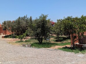 Un carril de grava que condueix a un edifici de façana vermella, envoltat d'arbres i vegetació.
