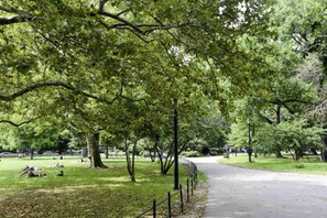 Un parque con un camino pavimentado, árboles y bancos.