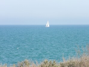 Ein Segelboot auf ruhiger See mit klarem Horizont.
