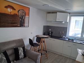 Interior - Cozy, fully equipped, and furnished studio apartment with private parking and a terrace (Blois)