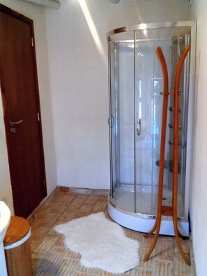 Ein Eckzimmer mit einer gläsernen Duschkabine, einer Holztür und einem weißen Teppich.