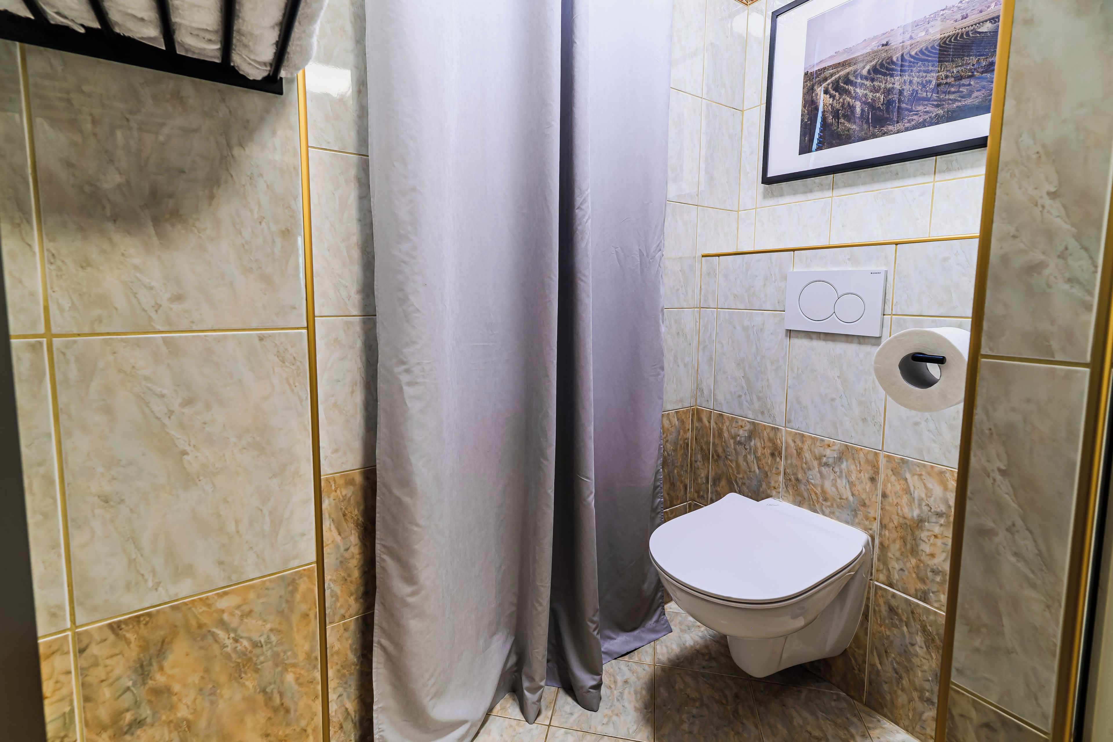 A bathroom with a toilet, a shower curtain, and a picture on the wall.