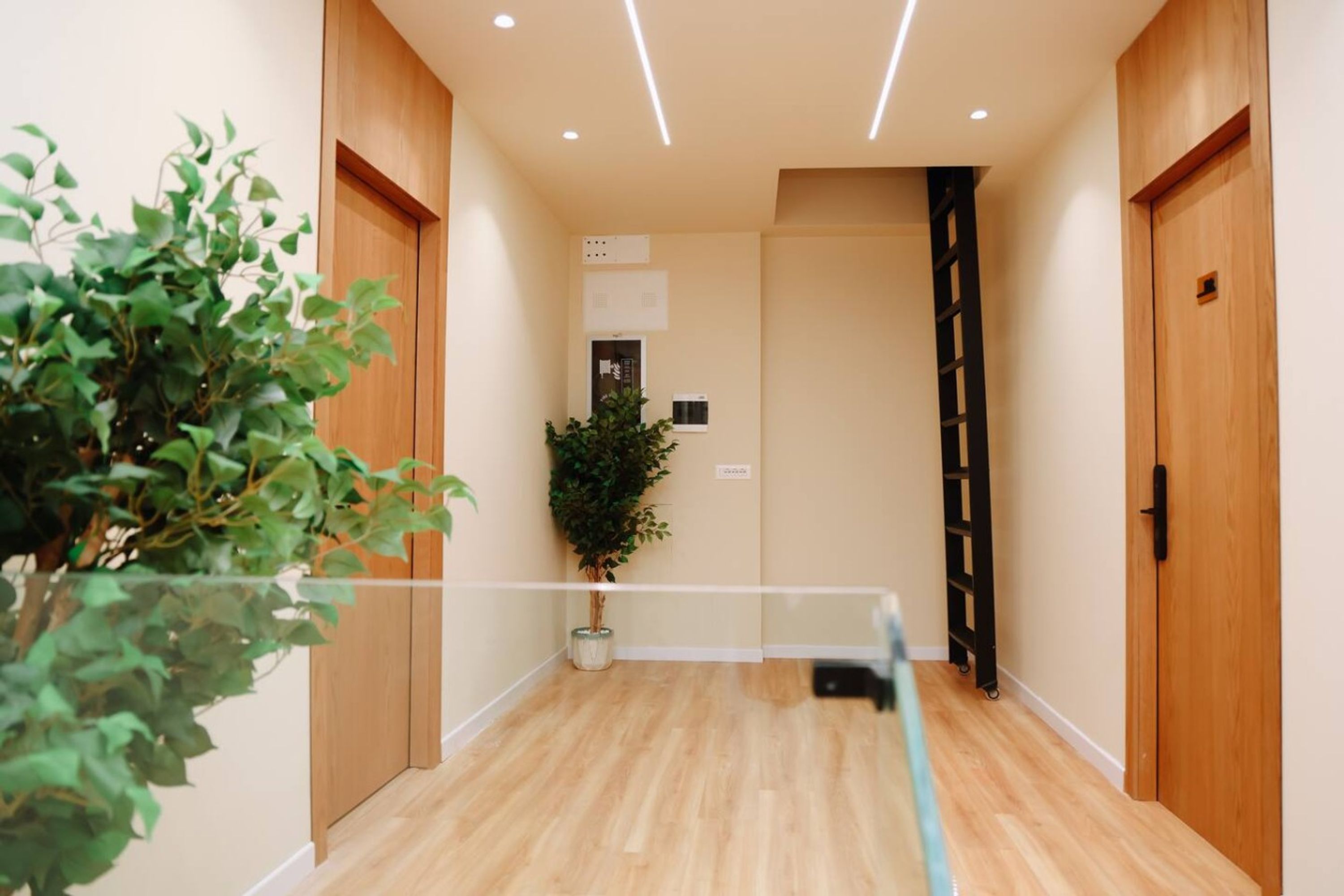A hallway with wooden flooring, a potted plant, and a door with a black handle.