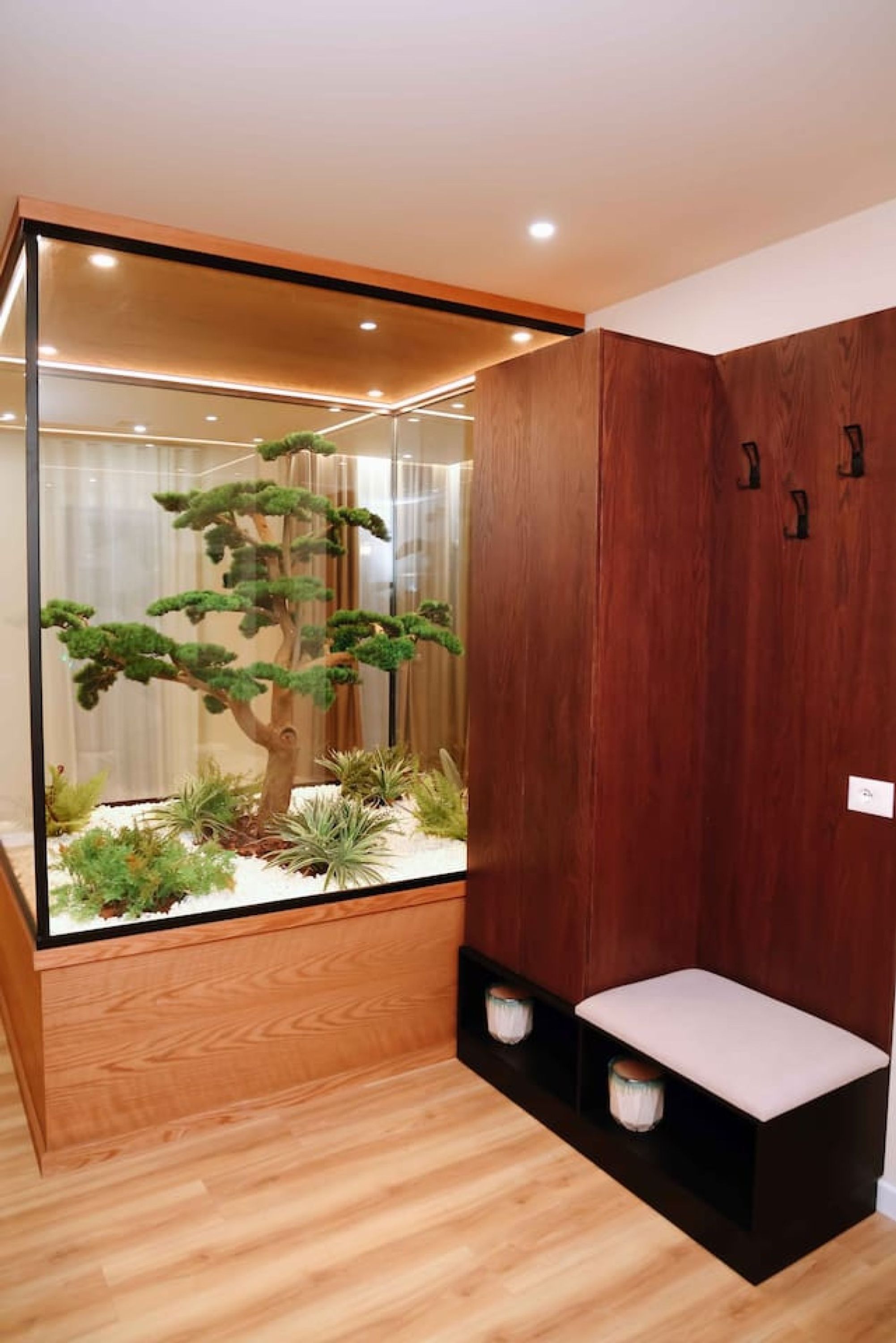 A room with a glass-fronted cabinet containing a bonsai tree and other plants.