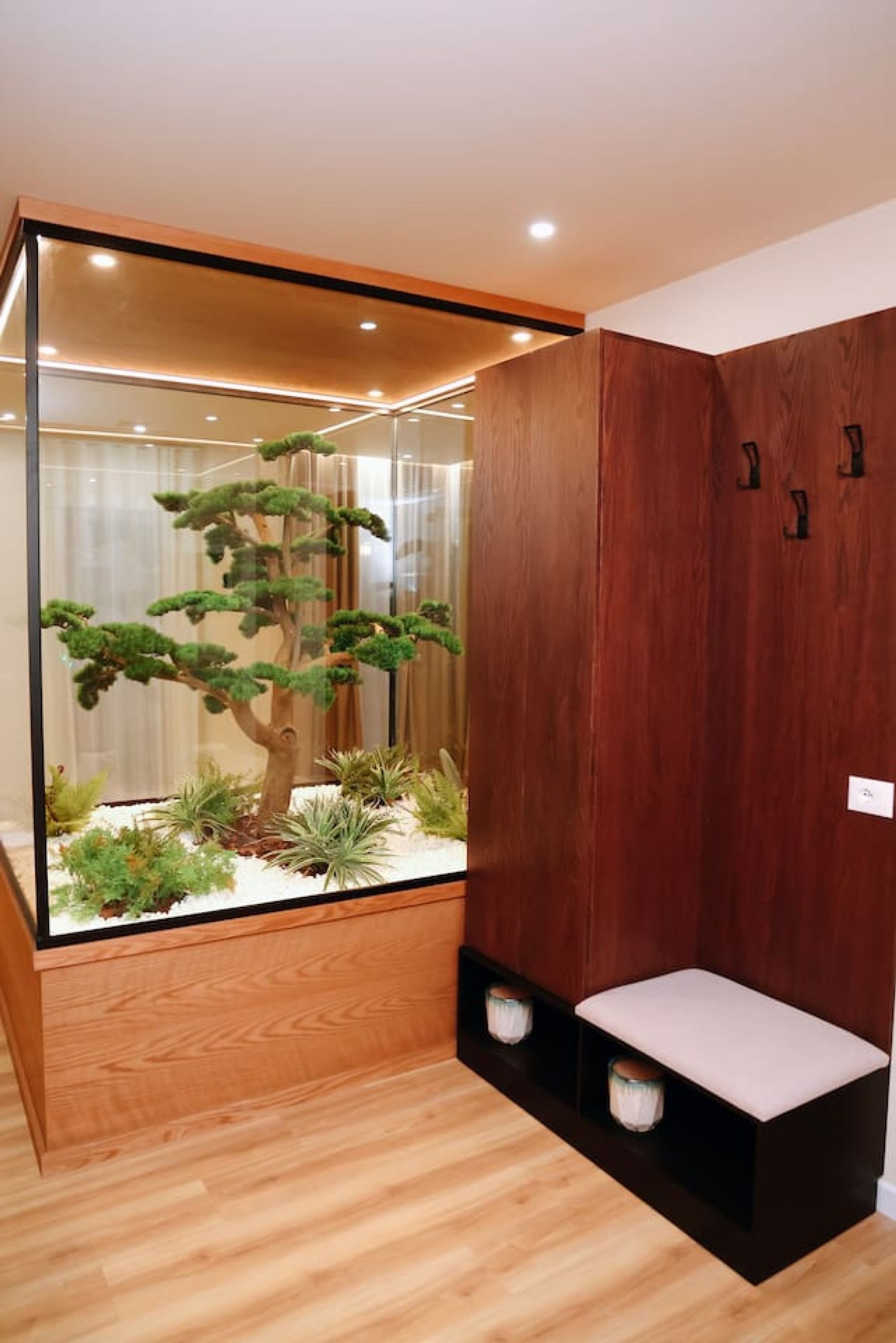 Una stanza moderna con un ambiente in vetro che ospita un bonsai e altre piante.