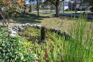 Un jardí amb mur de pedra, diferents plantes i un arbre.
