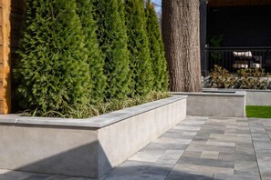 Un espacio exterior moderno con un sendero de piedra, una fila de árboles perennes y un tronco de árbol grande.