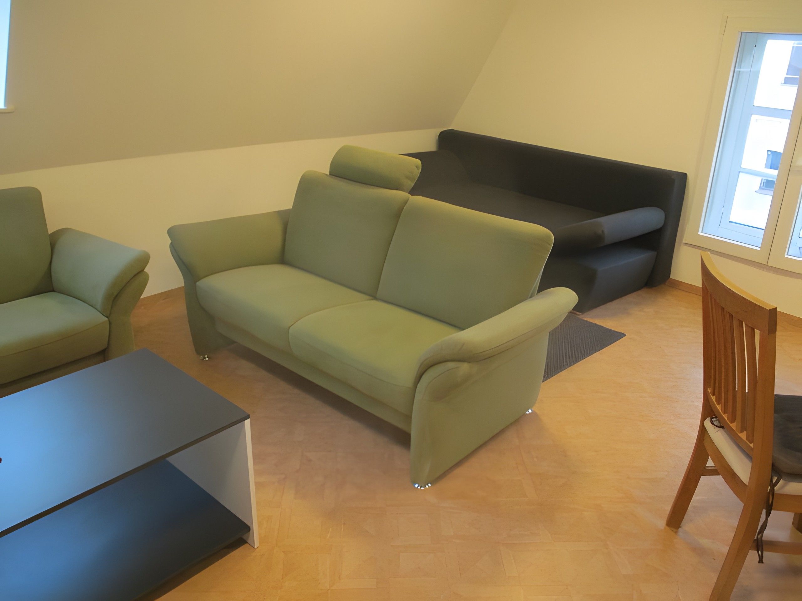 Un salon moderne avec un canapé vert, un canapé foncé, une chaise en bois et une petite table.