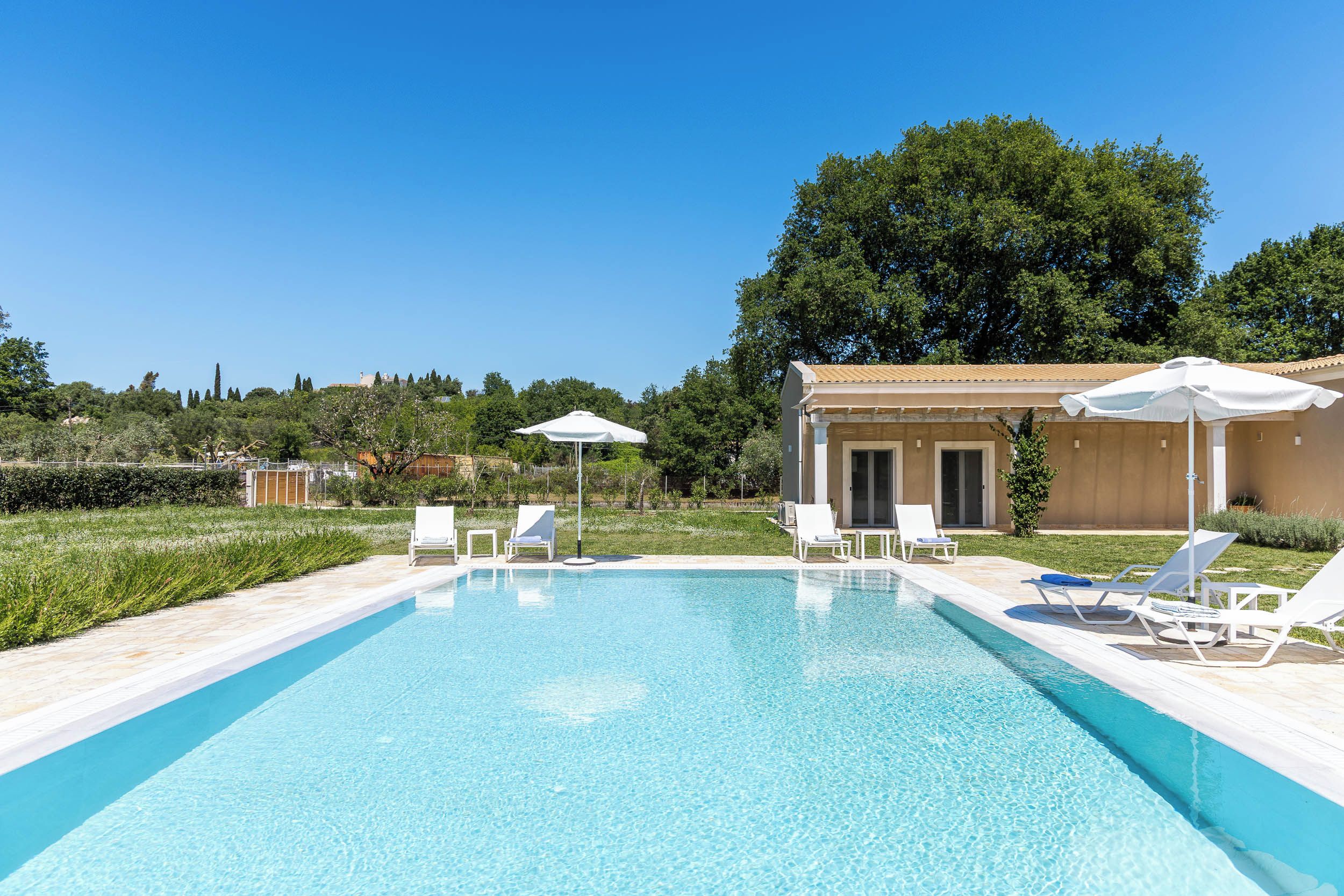 A swimming pool with lounge chairs and umbrellas, surrounded by greenery and a building.