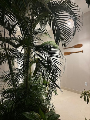 A room with a large potted plant with broad leaves, a wooden paddle on the wall, and a tiled floor.