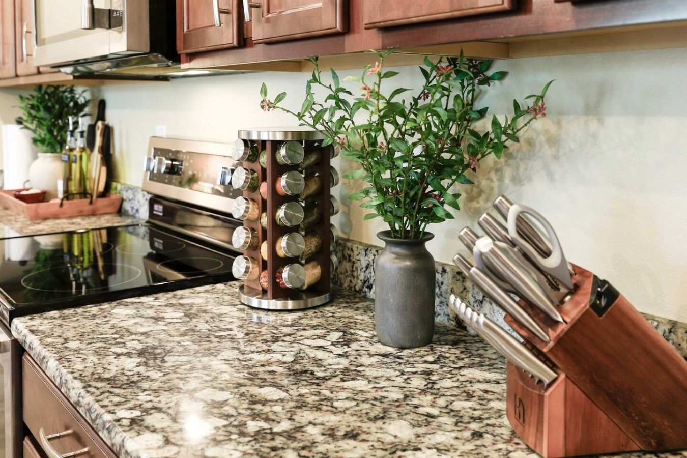 A kitchen with granite countertops, a stainless steel range hood, a unique spice rack, a potted plant, and a knife block.