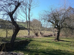 A rural landscape with trees and a stone wall.