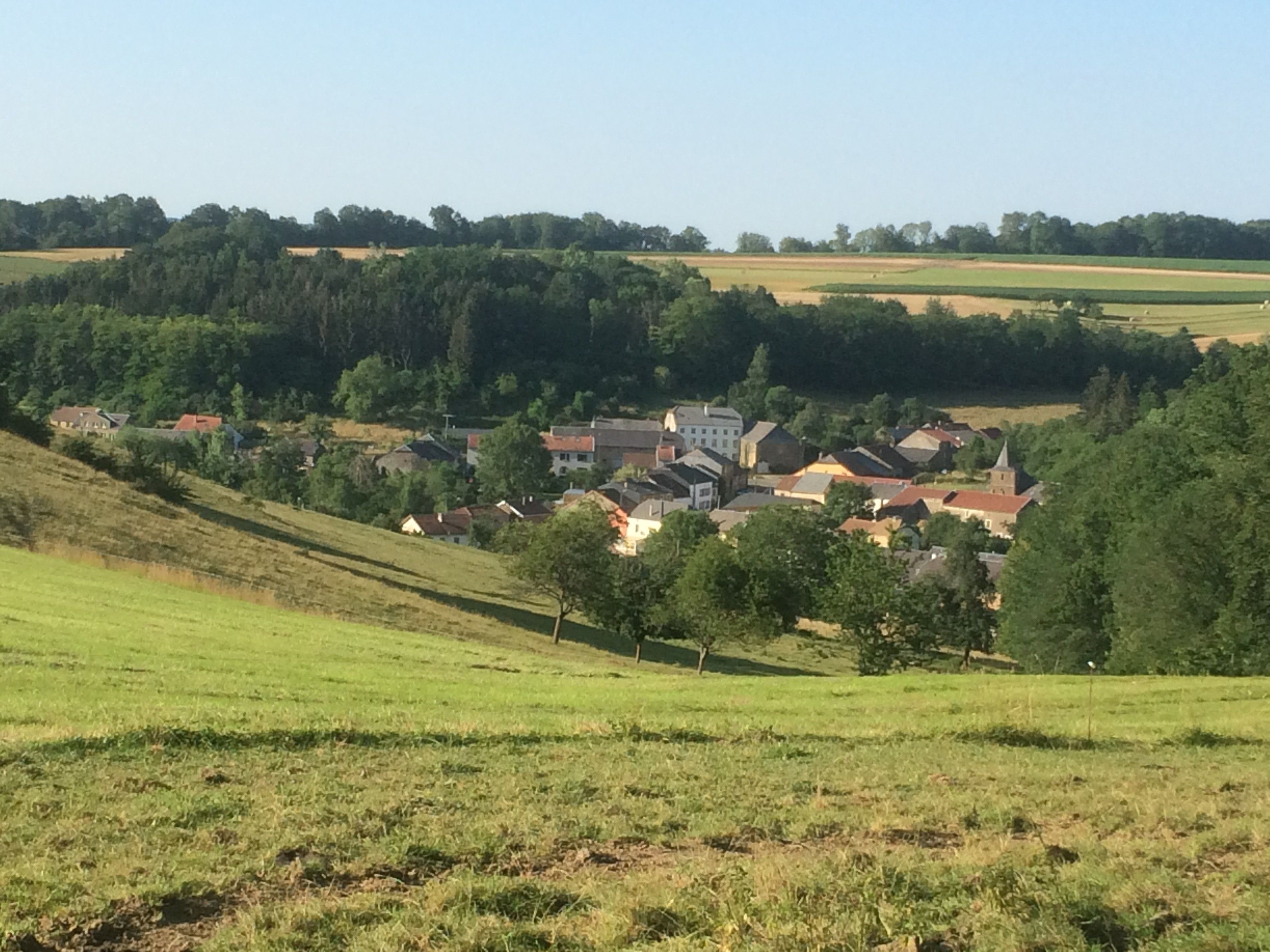 A rural village with houses and fields.