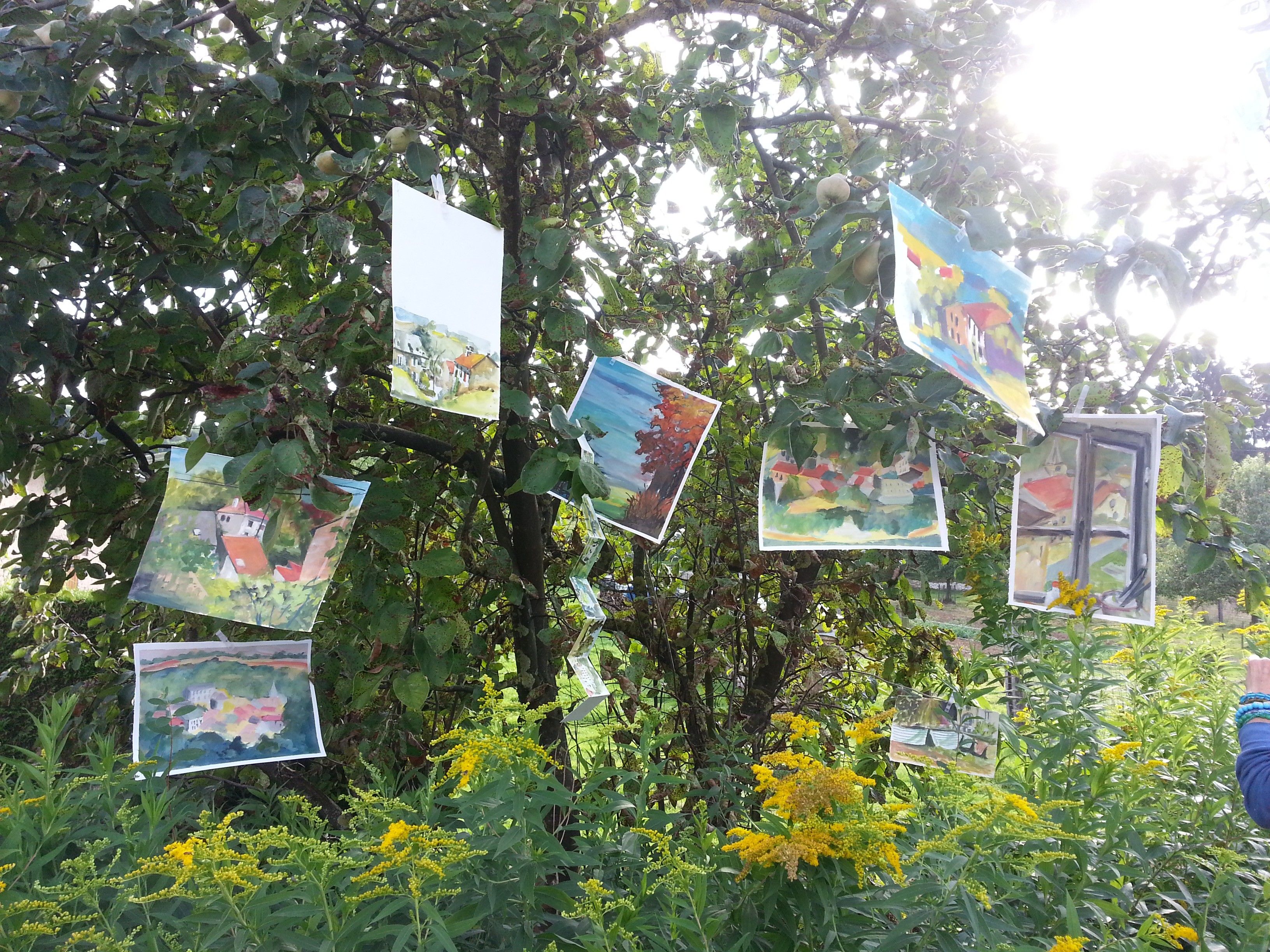 A tree with multiple artworks hanging from its branches.