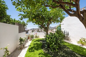 Un jardin avec un arbre, un mur blanc et une vue sur une ville au loin.