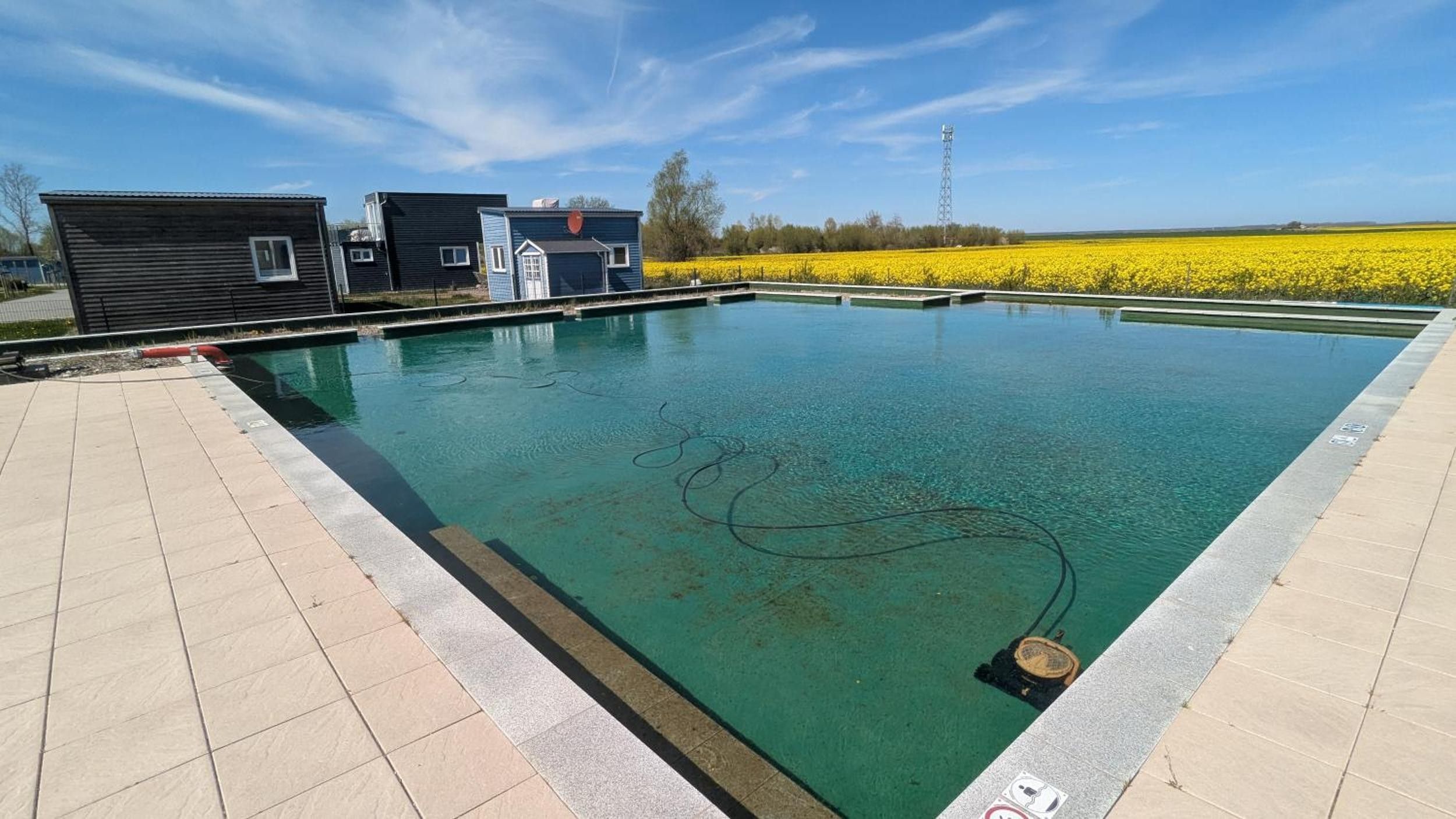 Een rechthoekig zwembad met betegeld zonnedek, omgeven door een veld met gele bloemen en enkele gebouwen op de achtergrond.