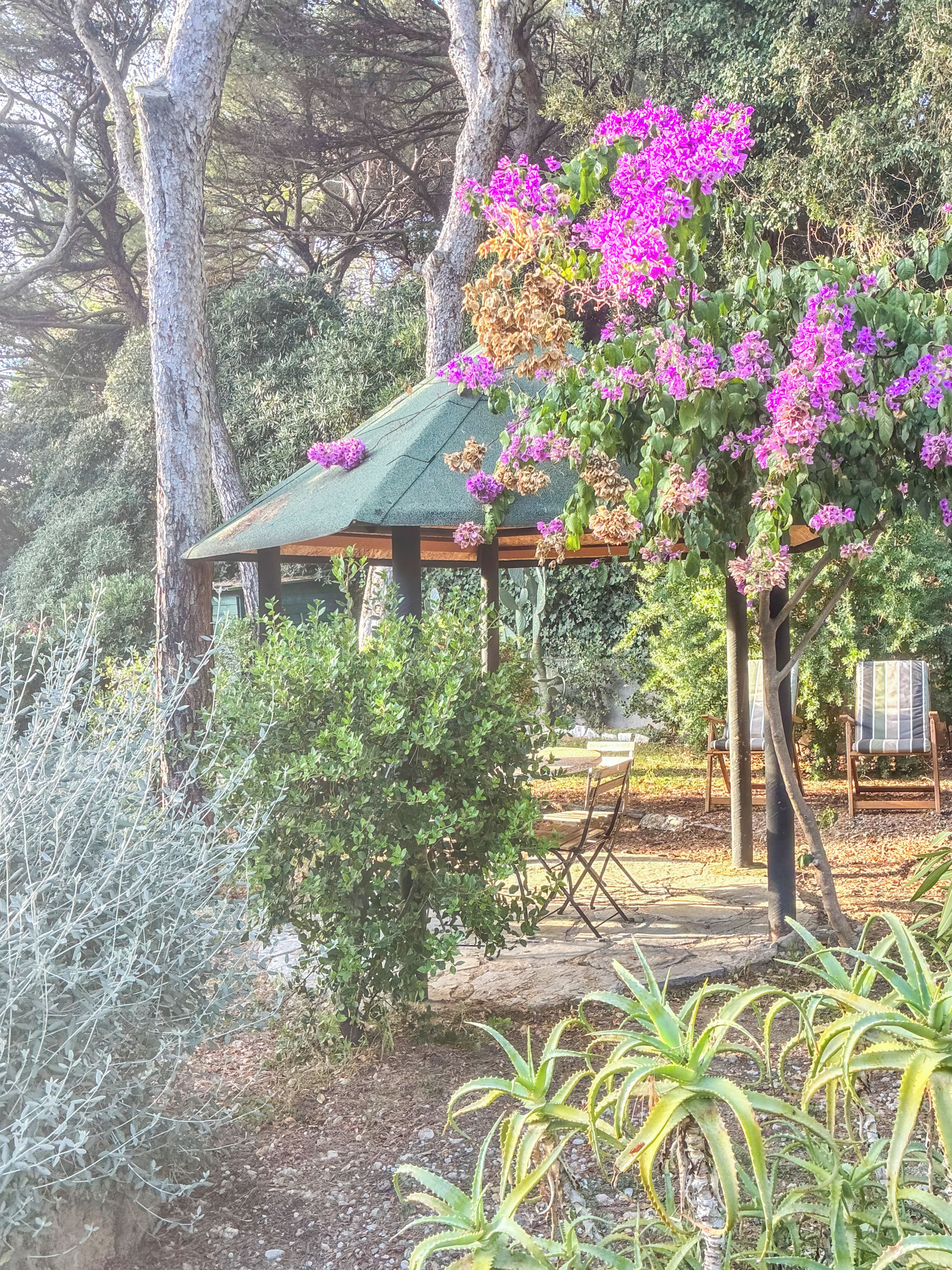 A gazebo with a green roof surrounded by trees and plants.