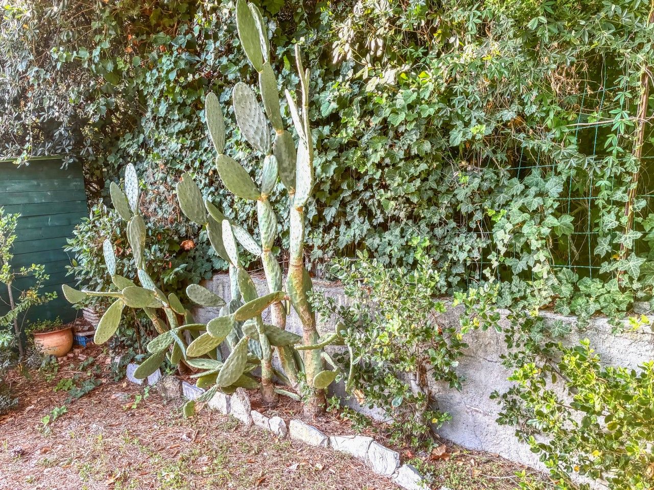 440_Casa Nora_7