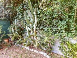 440_Casa Nora_7 - Casa Nora - Cozy Apartment with a Shaded Garden in Castiglioncello (Rosignano Solvay-Castiglioncello)