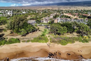 A public beach park runs along the shoreline here, Haleakala Shores' rooftop solar panels visible just past the trees. - Haleakala Shores A206 by Gather - Remodeled Condo Across from Kamaole Beach III (Kihei)