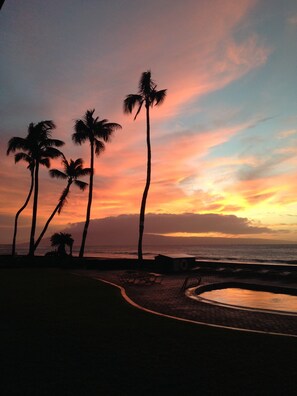 A sunset view with palm trees and a pool. - New unit to rent.  Adorable 1 bed/1 bath condo. (Lahaina)