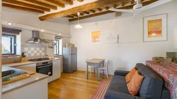 A compact kitchen with a gas stove, oven, and a built-in refrigerator.
