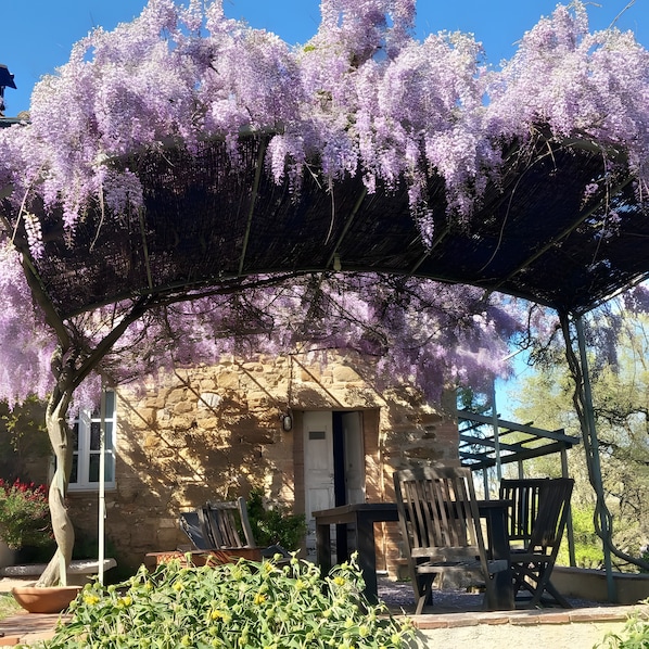 A stone building with a covered outdoor seating area and a tree with purple flowers.
