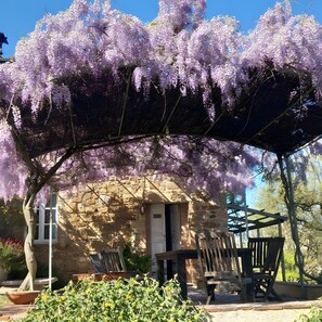 A stone building with a covered outdoor seating area and a tree with purple flowers.