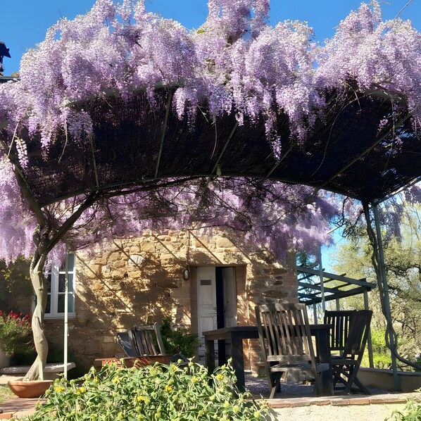 A stone building with a covered outdoor seating area and a tree with purple flowers.