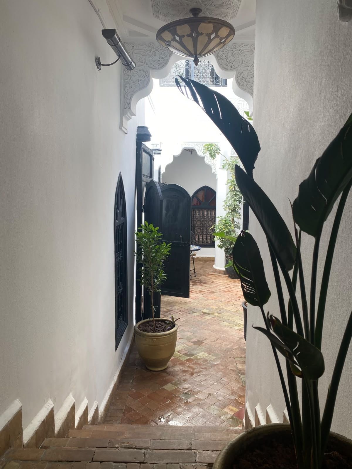 A narrow corridor with a tiled floor, white walls, and a potted plant.