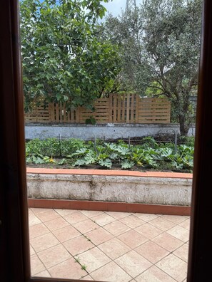 A view through a window of a garden with a wooden fence, a concrete wall, and a tiled patio.