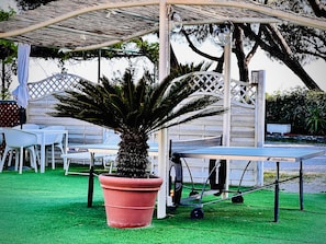 A garden area with a palm tree, outdoor seating, and a ping pong table.