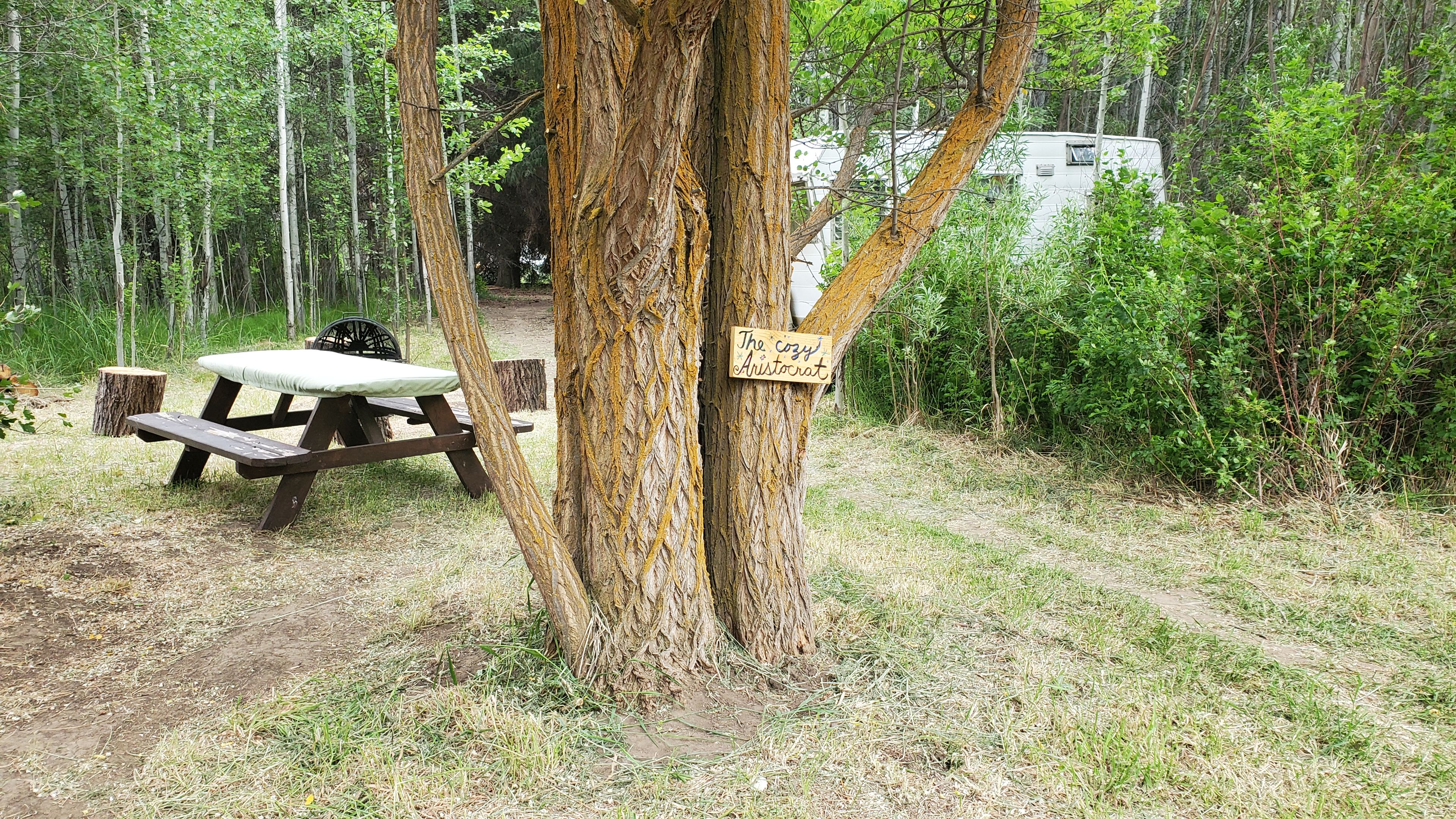室外用餐