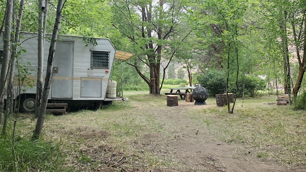Un terrain de camping équipé d’une caravane, d’une table de pique-nique et d’un foyer.