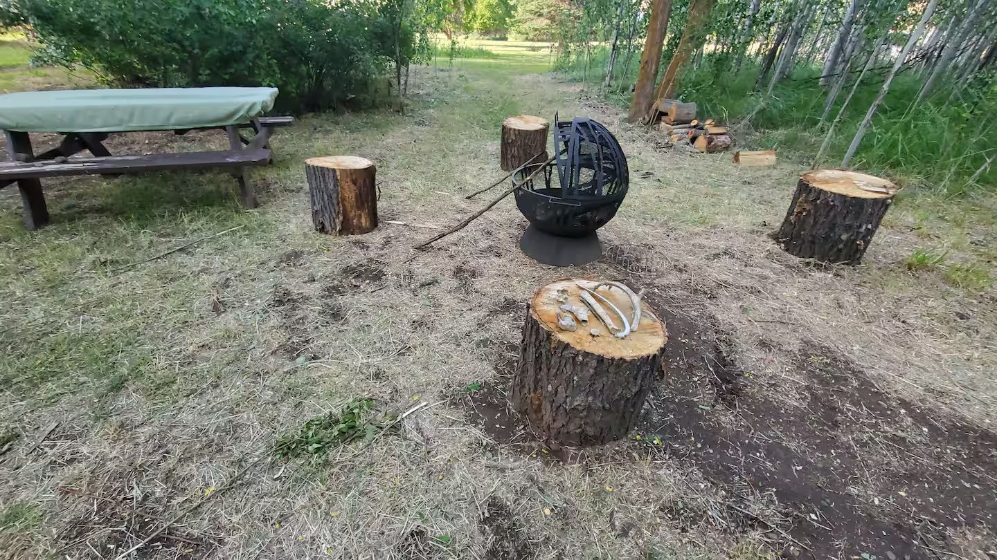 A picnic area with a table and benches, surrounded by stumps and a black spherical object.